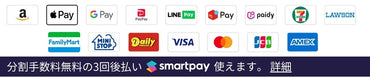 payment-smartpay2312.jpg__PID:40d54592-7e24-4f4c-9219-5783140d2950
