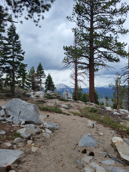 Sherwin Lakes Trail in Mammoth Lakes is open for Summer 2023 hiking