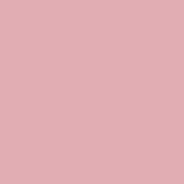 2005-50 Pink Eraser - Paint Color | East Bay Paint Center