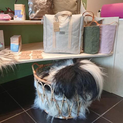 Bags and sheepskins