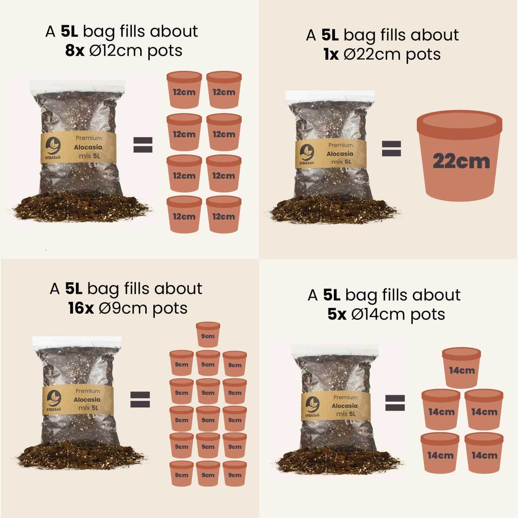 How much soil do I need infographic