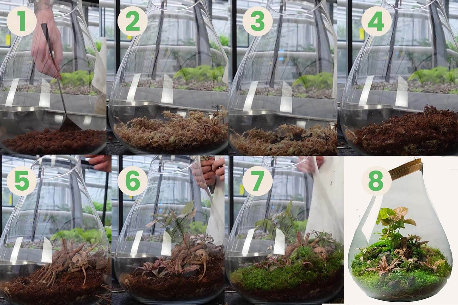 Terrarium Soil Mix - A QUICK And EASY Guide! 