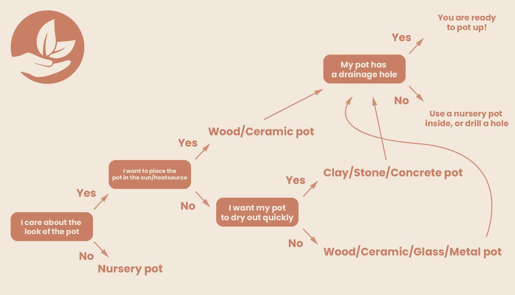 Which pot should I use for my plant infographic