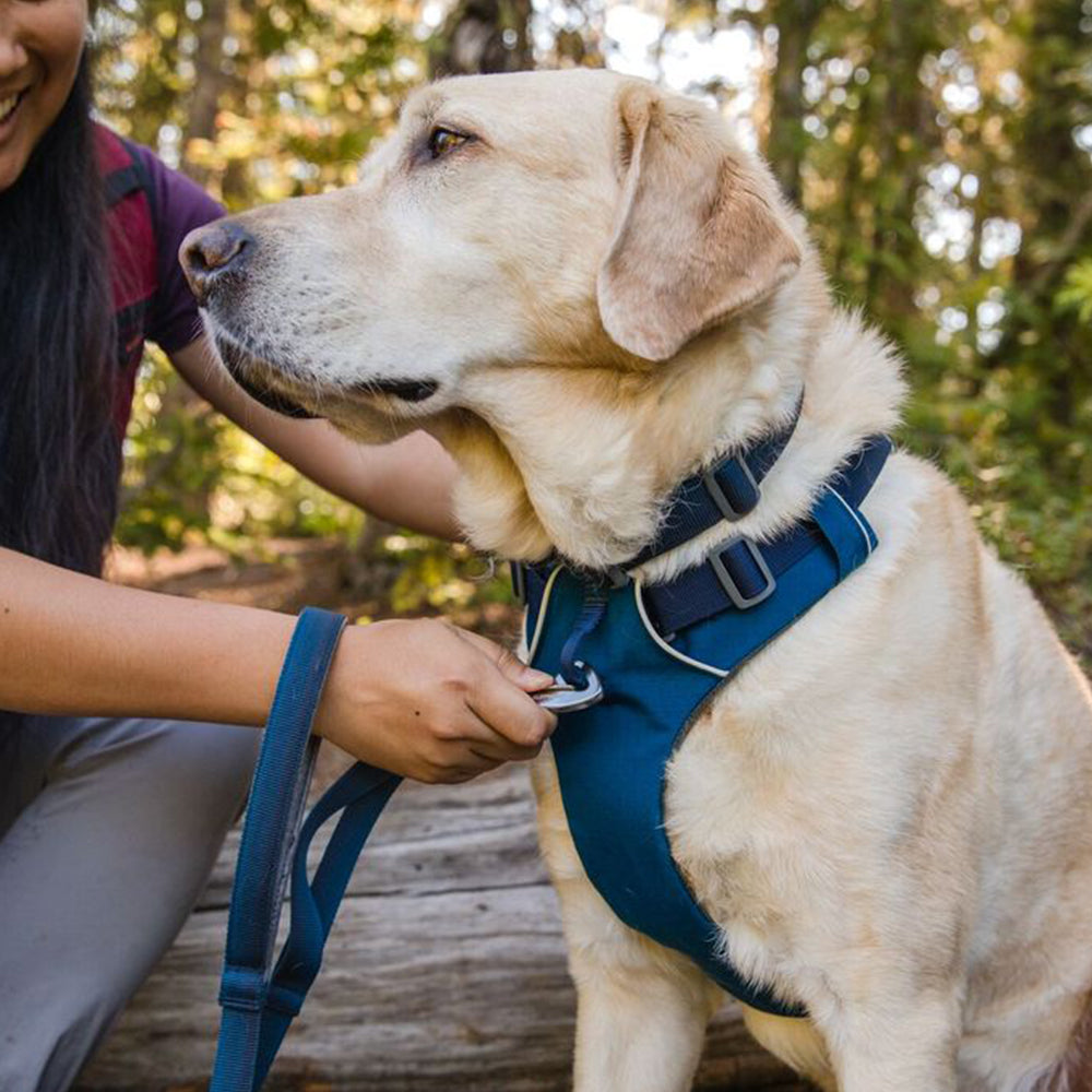 ruffwear travel dog harness