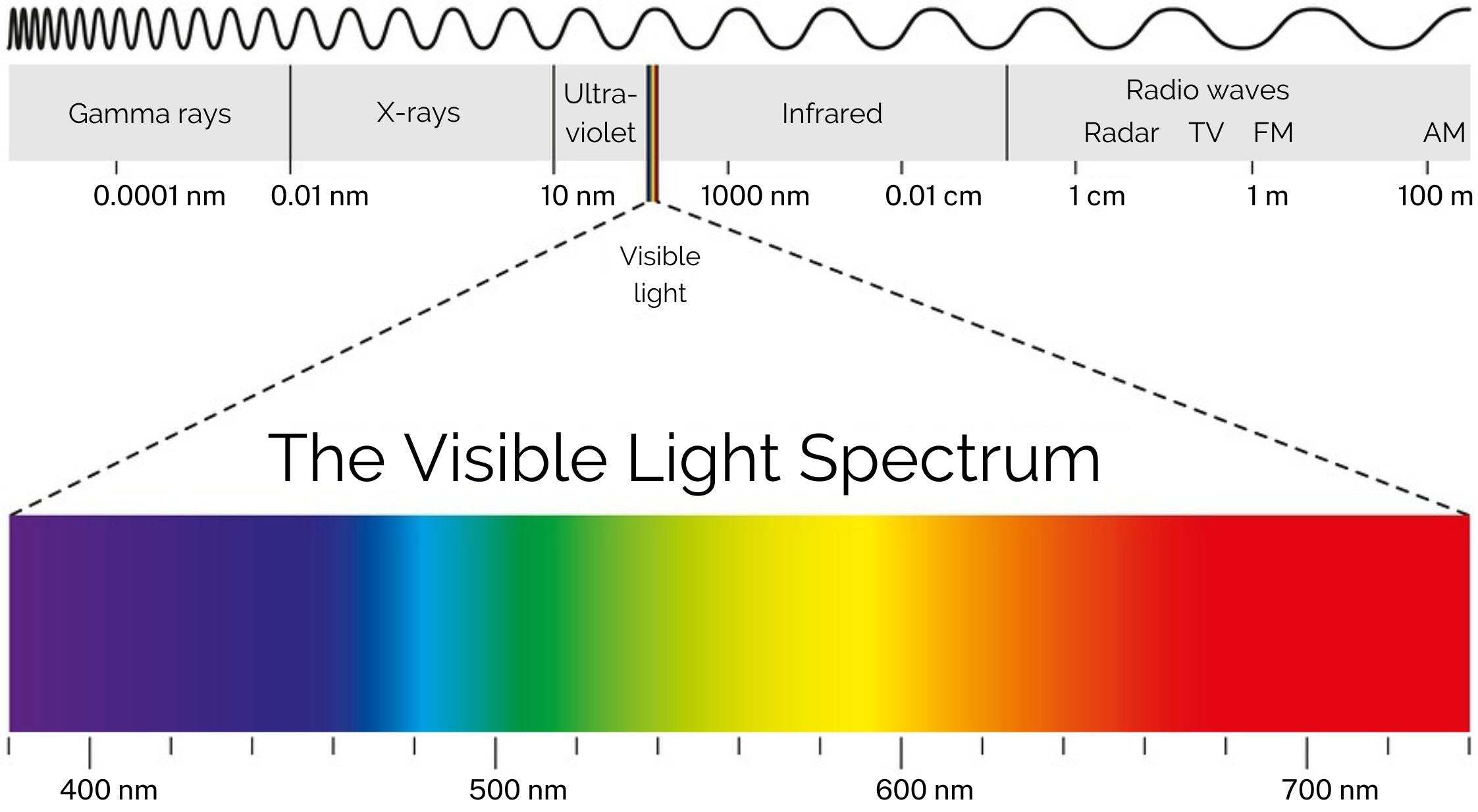 The Visible light spectrum, known as the visible part of the electromagnetic spectrum, contains all colours of the rainbow