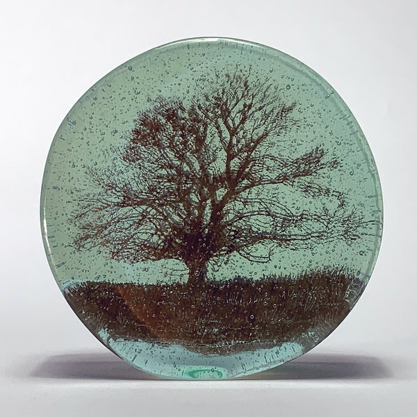 round green glass sculpture with detailed oak tree at centre 