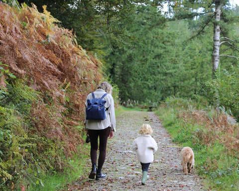 woman, child with blonde hair and dog walking in a wood in autumn colours