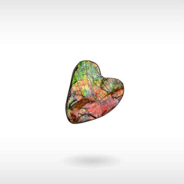 Freeform Ammolite Gemstone