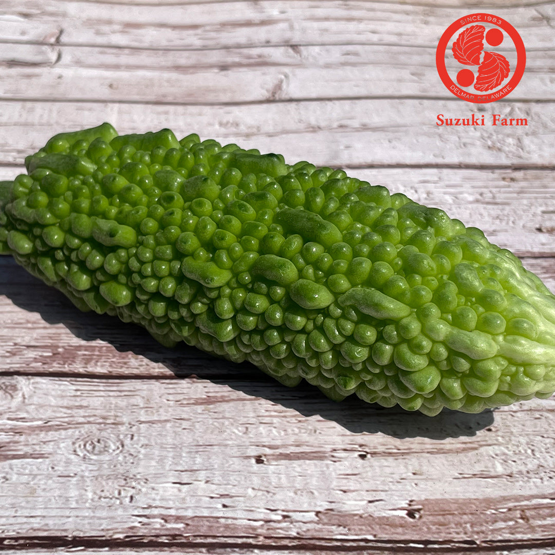 NIGAURI Bitter melon | Suzuki Farm | 0.5lb (2-3pc)