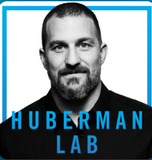 Andrew D. Huberman -Huberman Lab