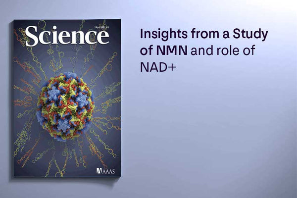 Insights from a Study of NMN and role of NAD⁺