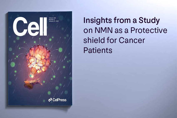 Insights from a Study on NMN as a Protective shield for Cancer Patients