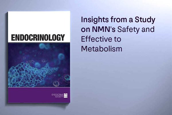 Insights from a Study on NMN's Safety and Effective to Metabolism