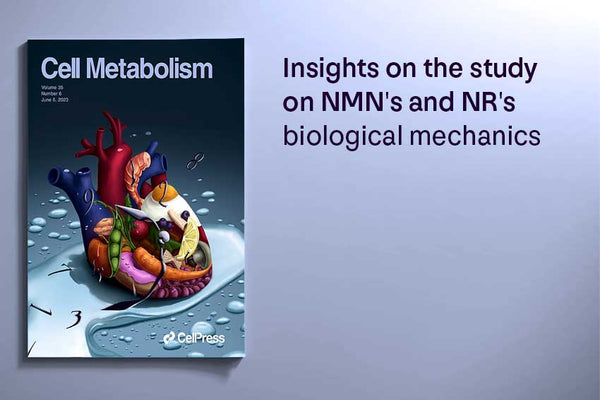 Insights on the study on NMN's and NR's biological mechanics