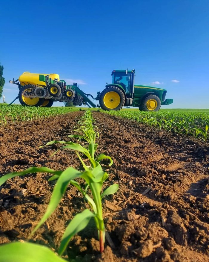 green tractor pulling equipment through growing corn field under bright blue sky farmer listening to farming podcasts