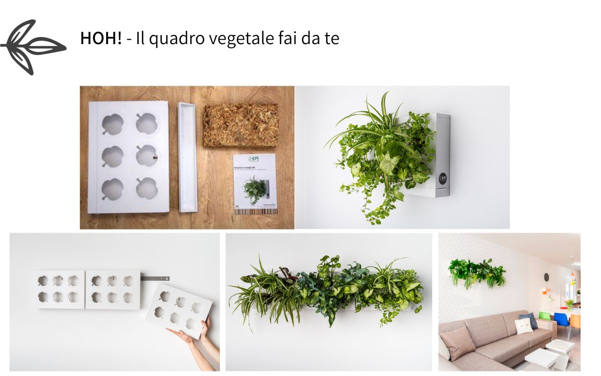 quadro vegetale hoh fai da te