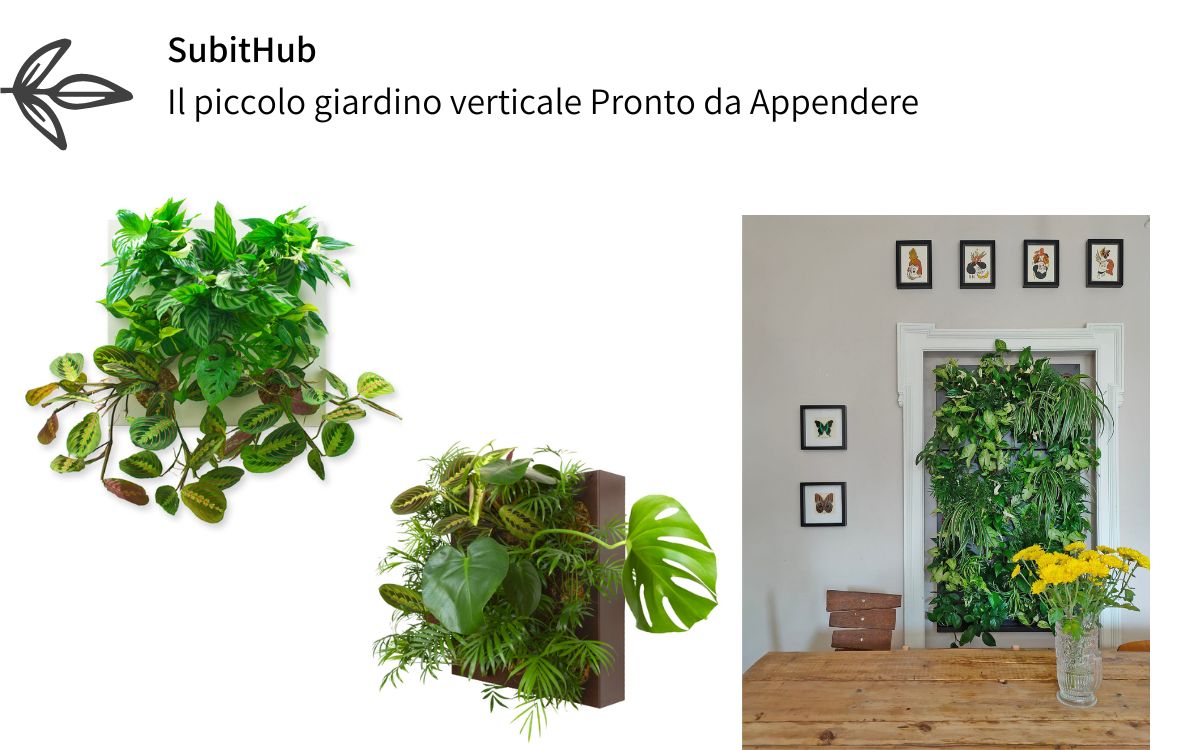 piccolo giardino verticale pronto da appendere