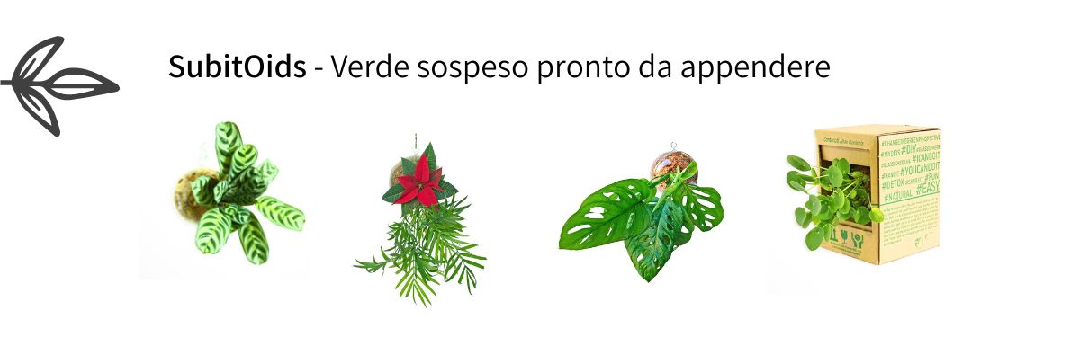 subitoids verde sospeso pronto da appendere