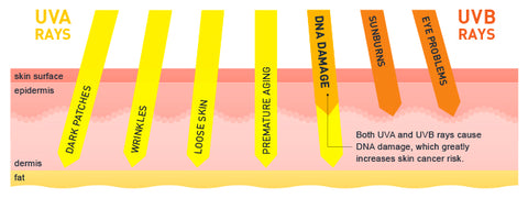 Spot-FREE™ Spot Corrector Turmeric Serum