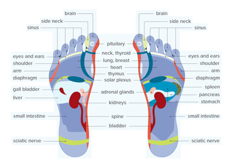 Ceoerty™ Acupressure Magnetic Insoles