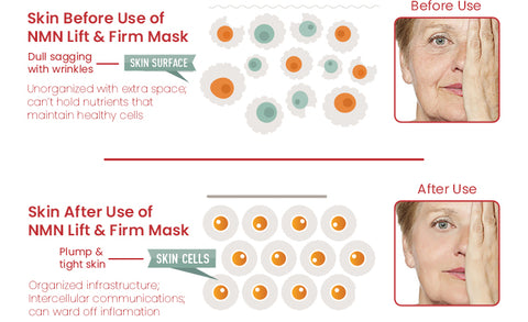 ElastiSkin™ Korean NMN Lift & Firm Mask
