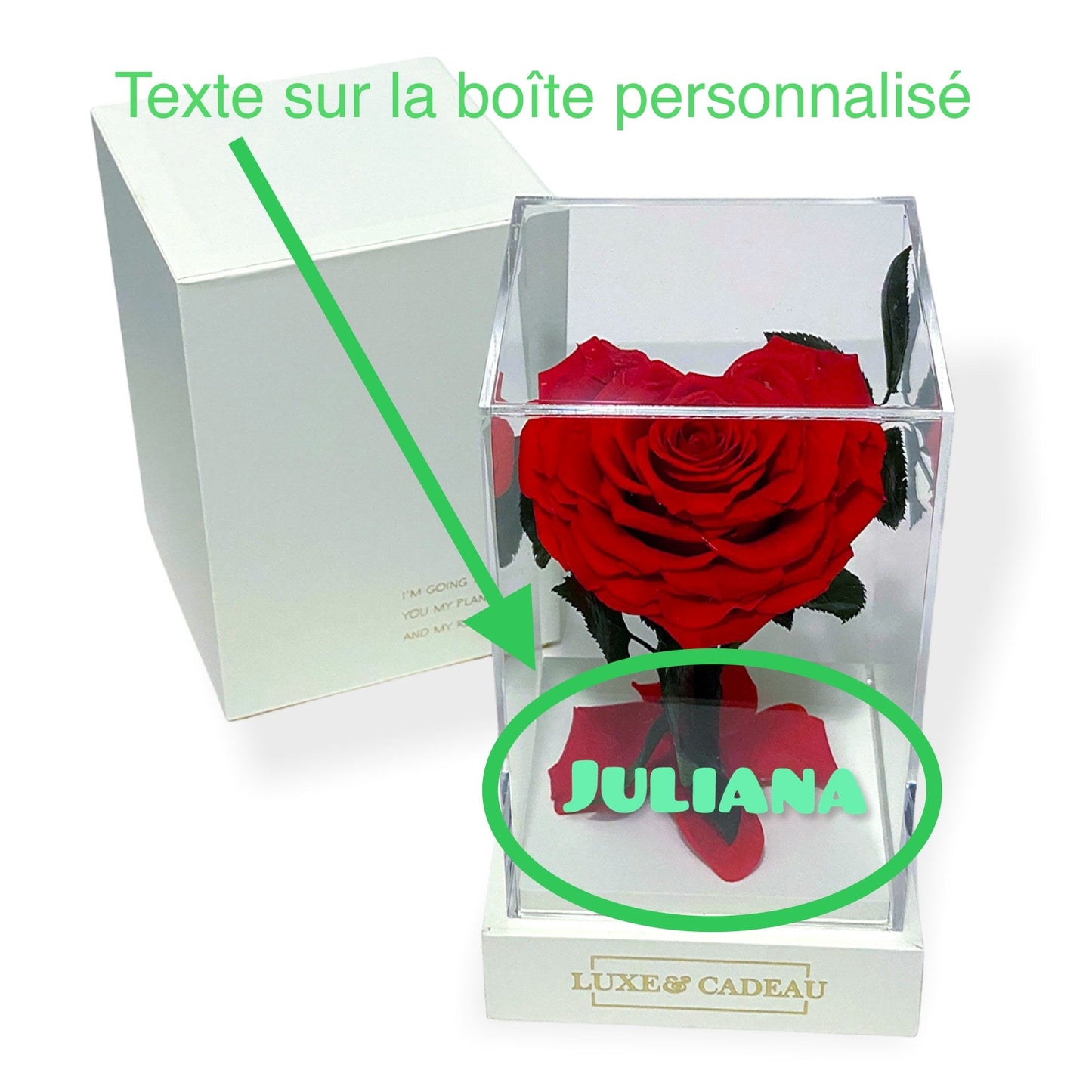 Rose éternelle sous cloche en forme de cœur – LUXE & CADEAU