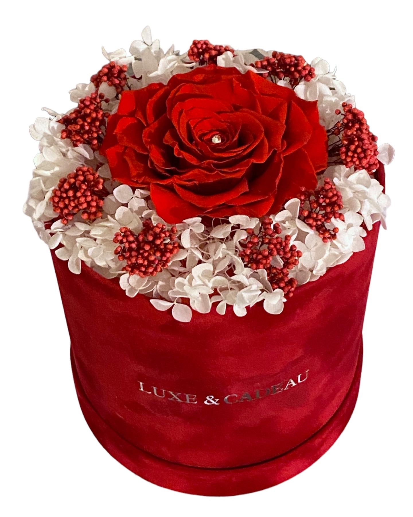 Rose éternelle – LUXE & CADEAU