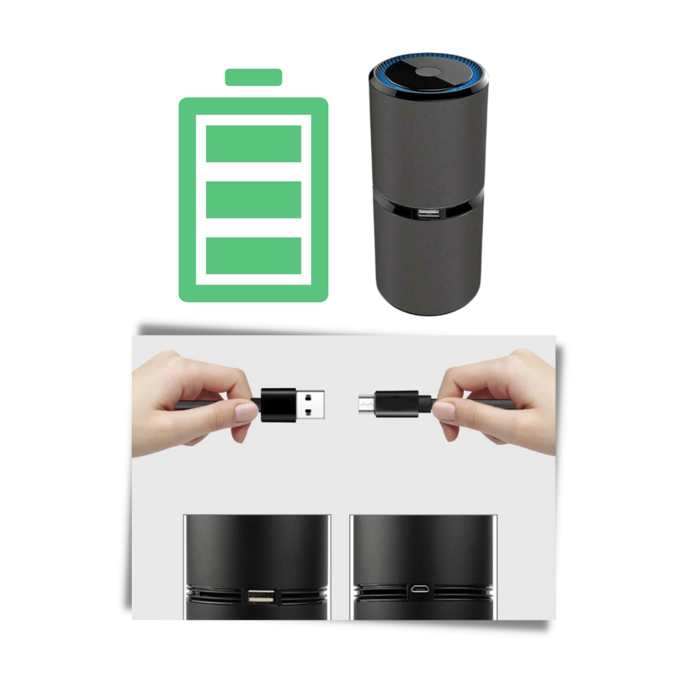 Ionic Air Purifier - Two Charging Options - 