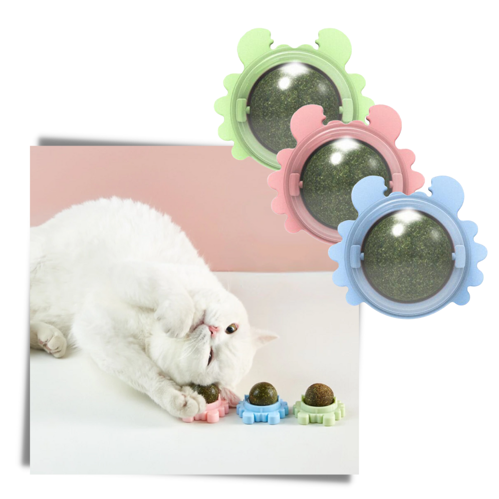 Rotatable Cat Mint Ball Toy - Perfect Cat Toy - 