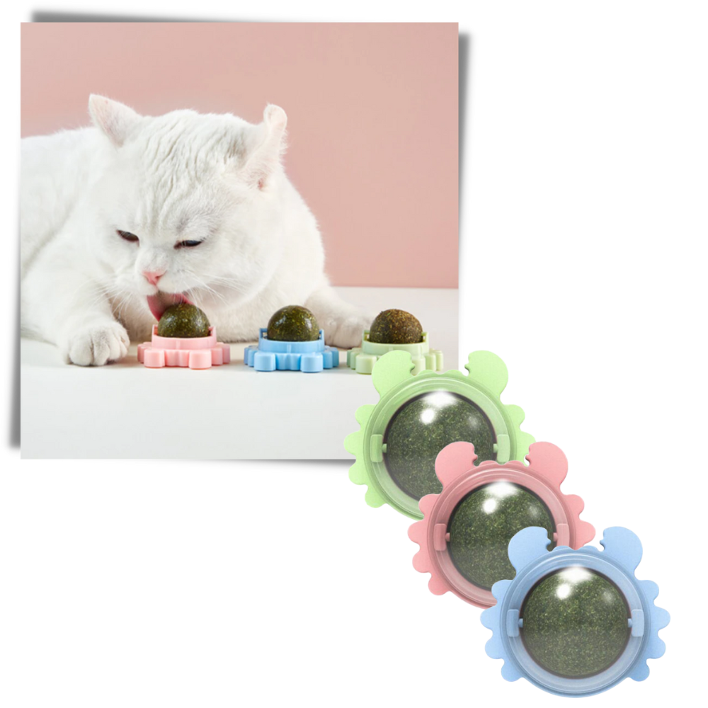 Rotatable Cat Mint Ball Toy - Rotating Design - 