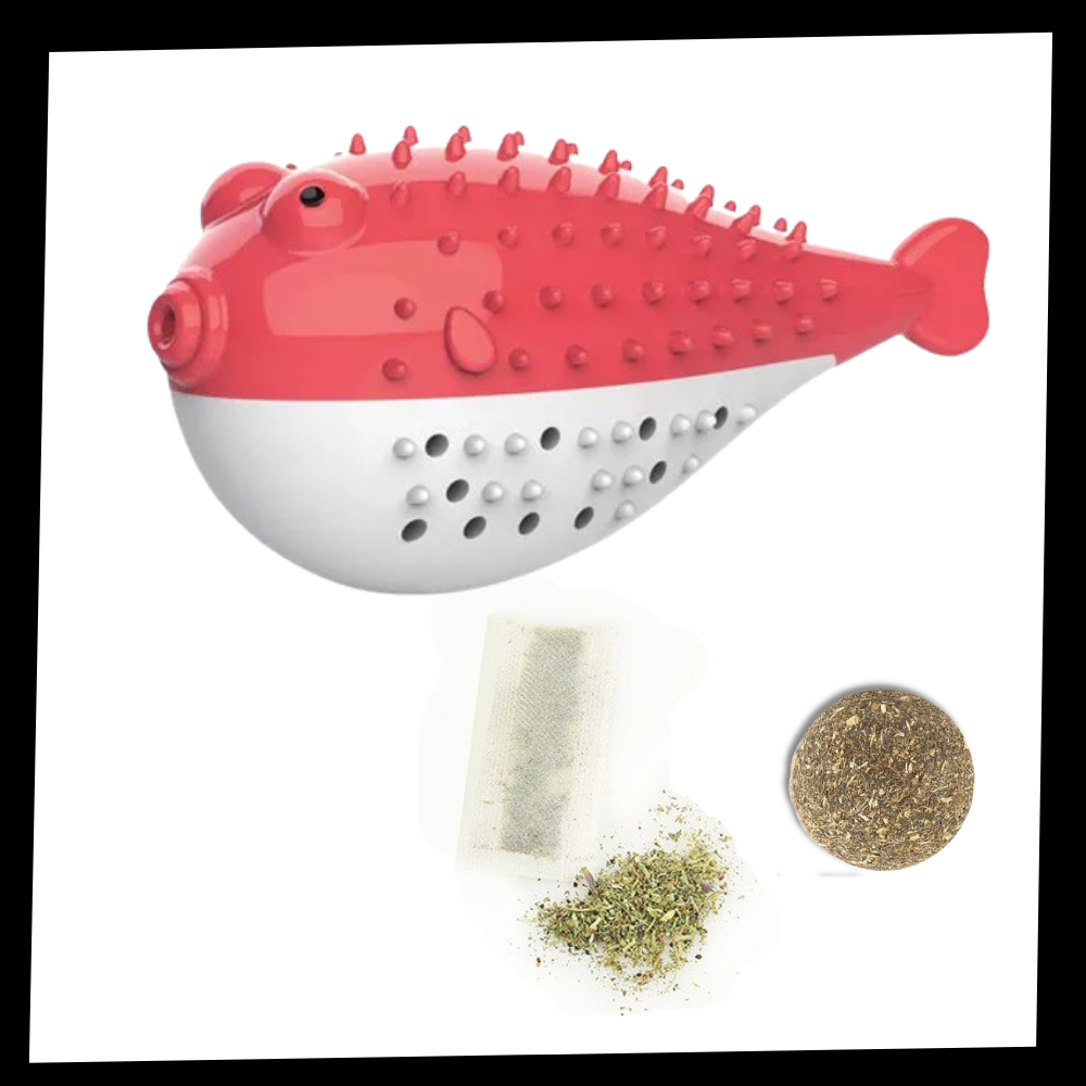 Fish shaped refillable cat toothbrush - Package - 