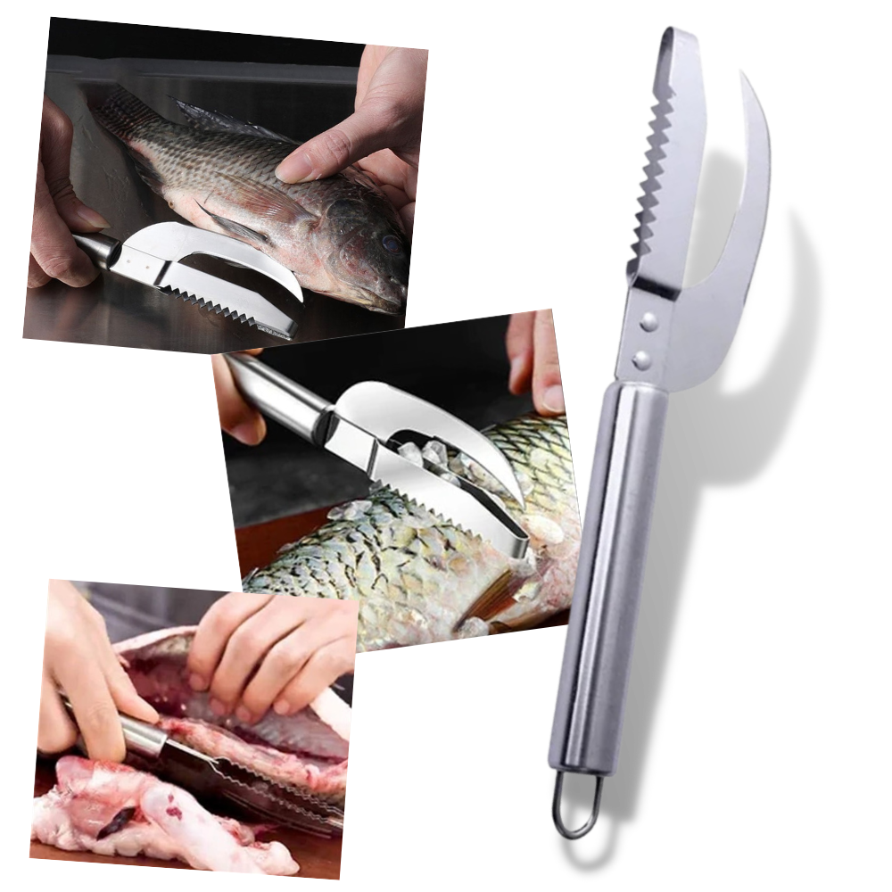 Kniv til fiskeskæl - kniv til skrabning af fiskeskæl - skæl-og pillekniv til skaldyr - Ozerty