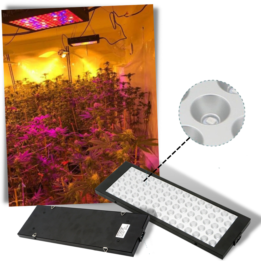 Lampada da coltivazione a LED sospesa a spettro completo - Calore basso - Ozerty