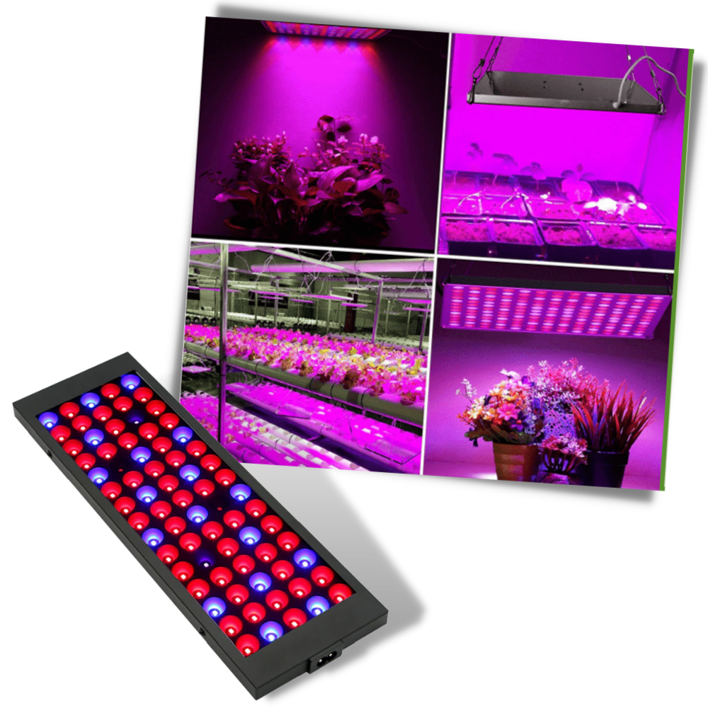 Full Spectrum hanging LED Grow Lamp - Multifunctional Grow Lamp - Ozerty