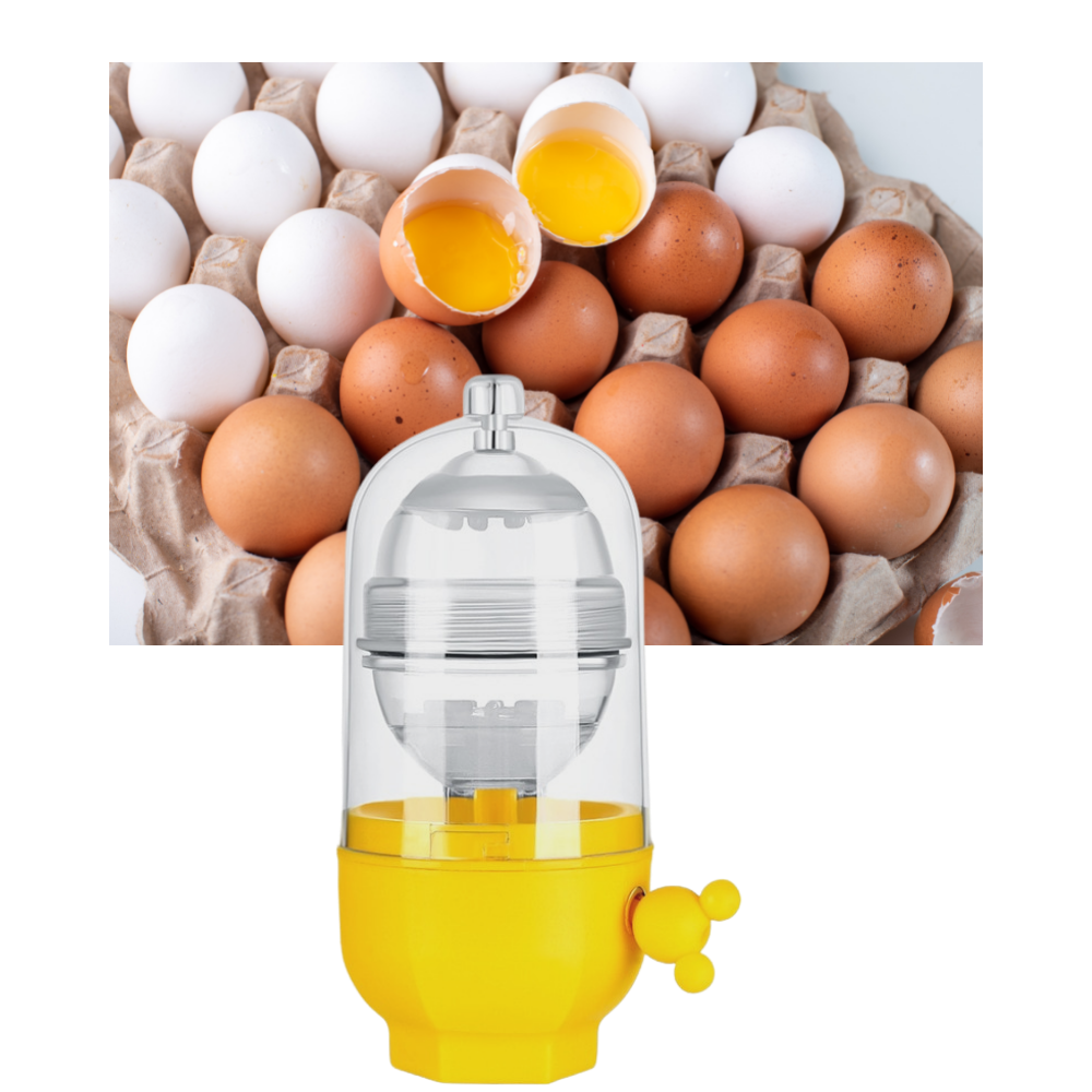 Mélangeur d'œufs - Construction polyvalente - Ozerty
