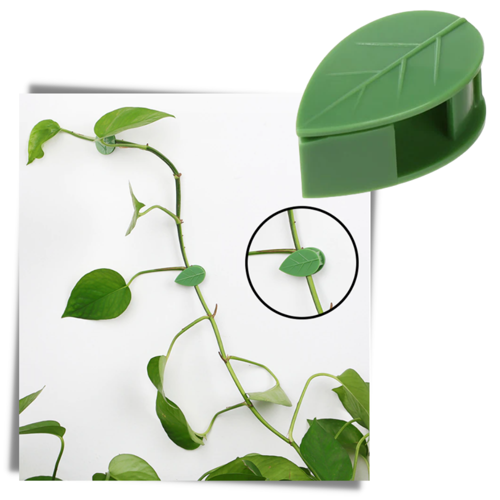 Pack of 20 Leaf-Shaped Adhesive Clips for Climbing Plants - Plant Safe - 