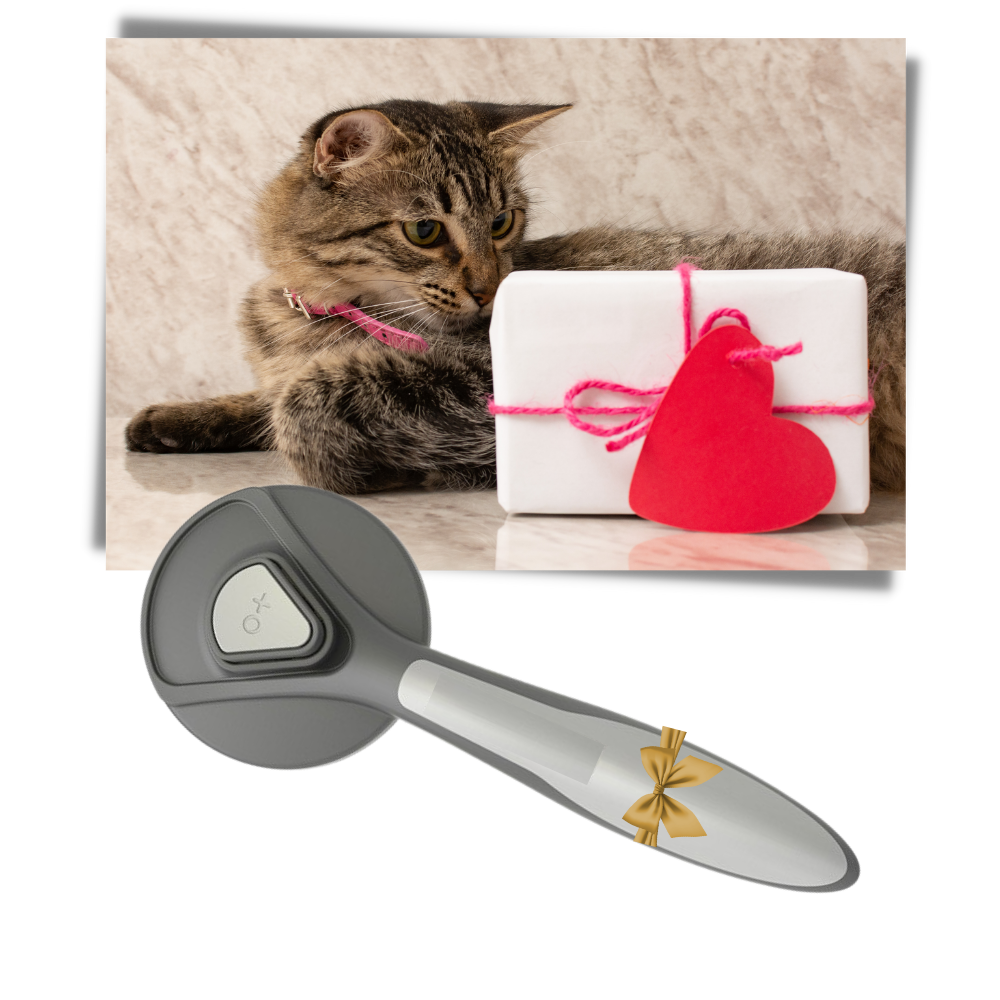 Special Brush For Pets - Great Gift Option - 