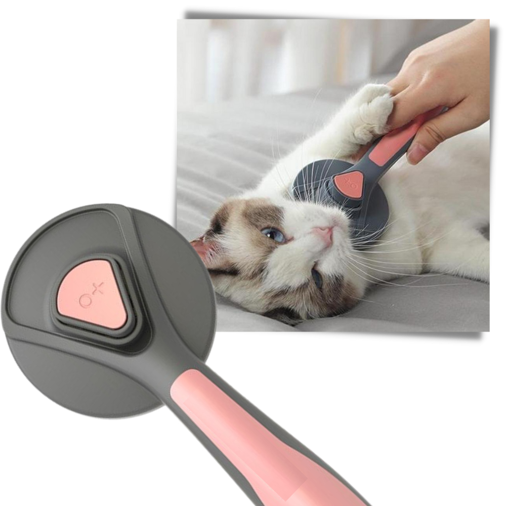 Special Brush For Pets - Safe and Comfortable - 