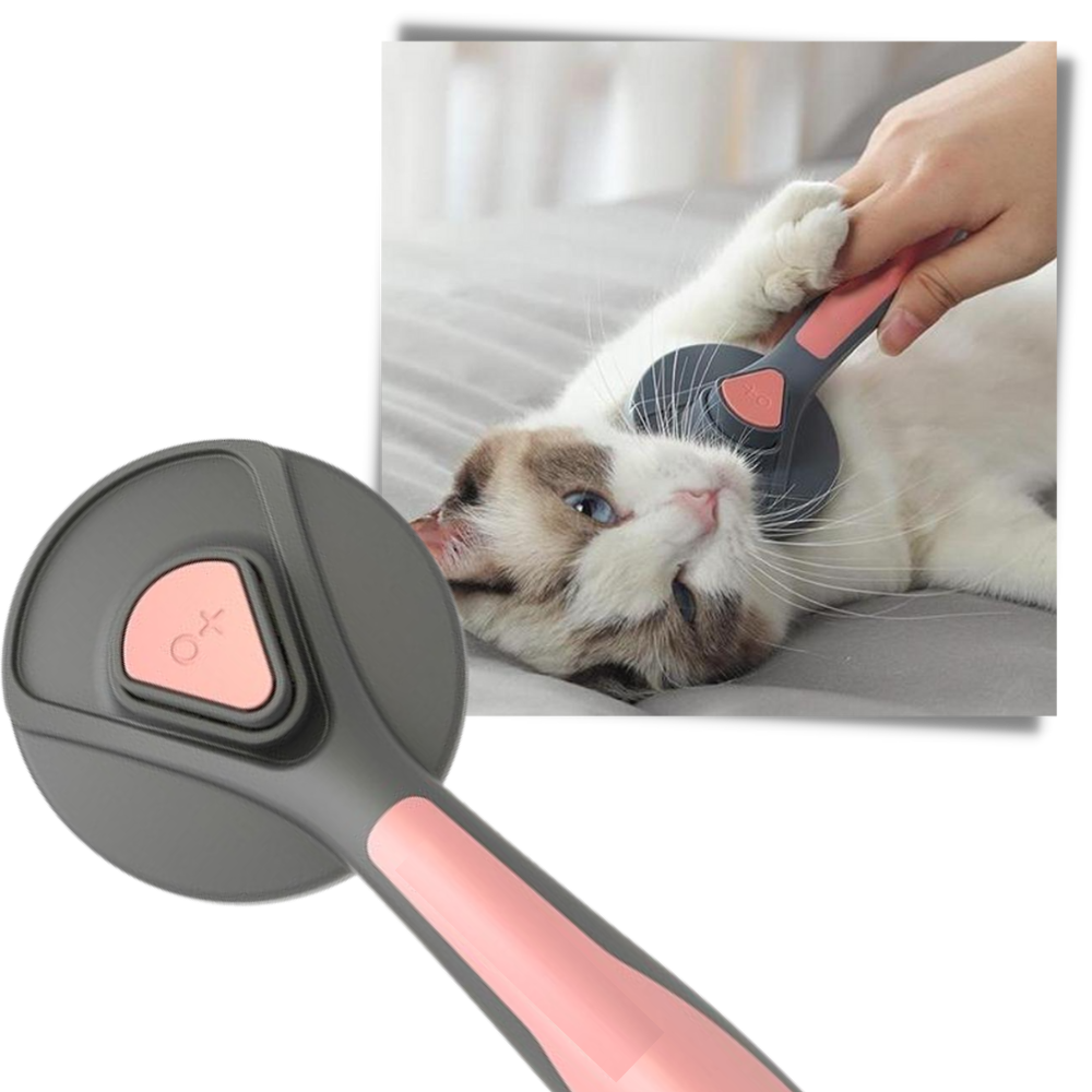 Special Brush For Pets - Safe and Comfortable - Ozerty