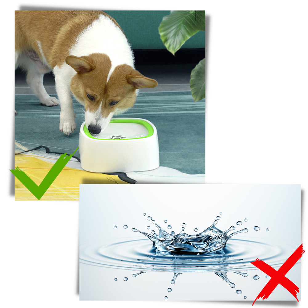 Flytande vattenskål för husdjur - Förhindrar vattenstänk - Ozerty