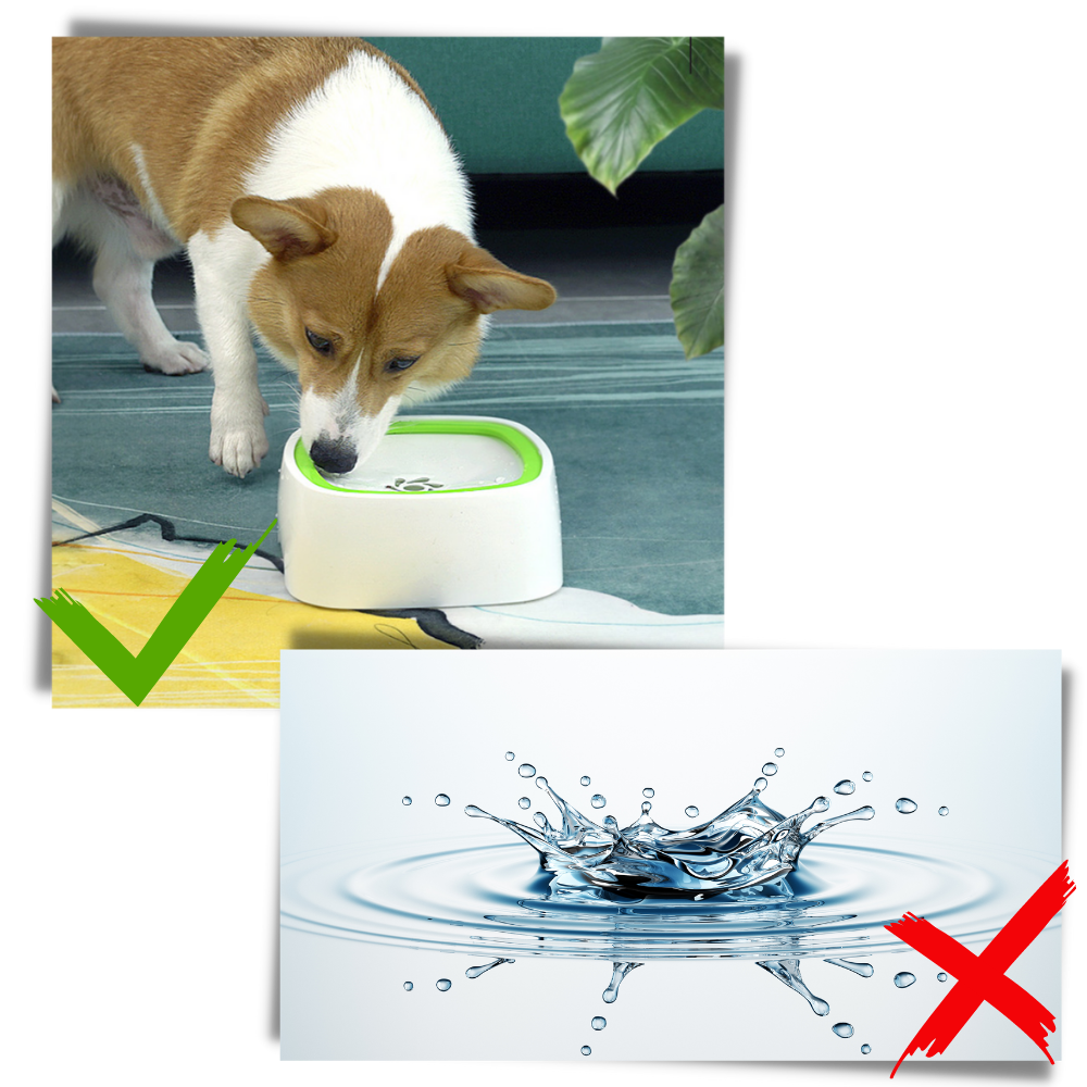 Floating Pet Water Bowl - Prevents Water Splashing - Ozerty