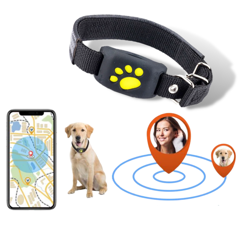 GPS Tracking Collar for Pets - Location Alerts - 