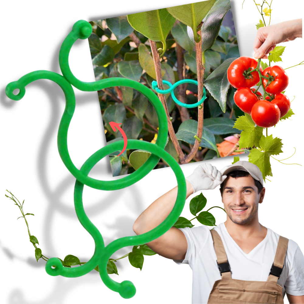 Garden Plant Clip Pack - Växtklämmor - Klämmor för växter trädgårdsverktyg - Klipp för plantor - Ozerty