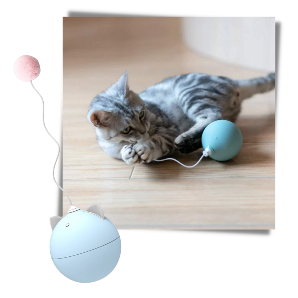 Cat Toy Ball With Auto-Roll Feature - Great Pet Toy  - 