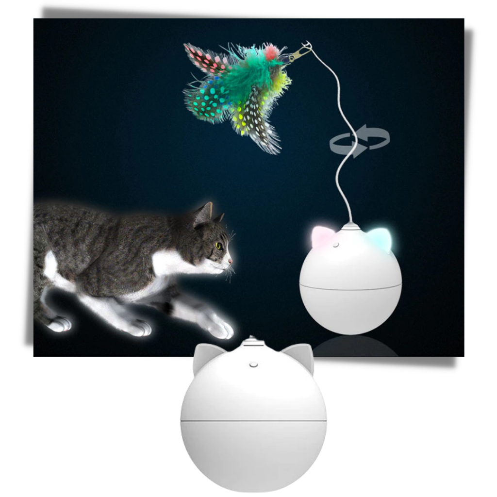 Cat Toy Ball With Auto-Roll Feature - Smart Design - 
