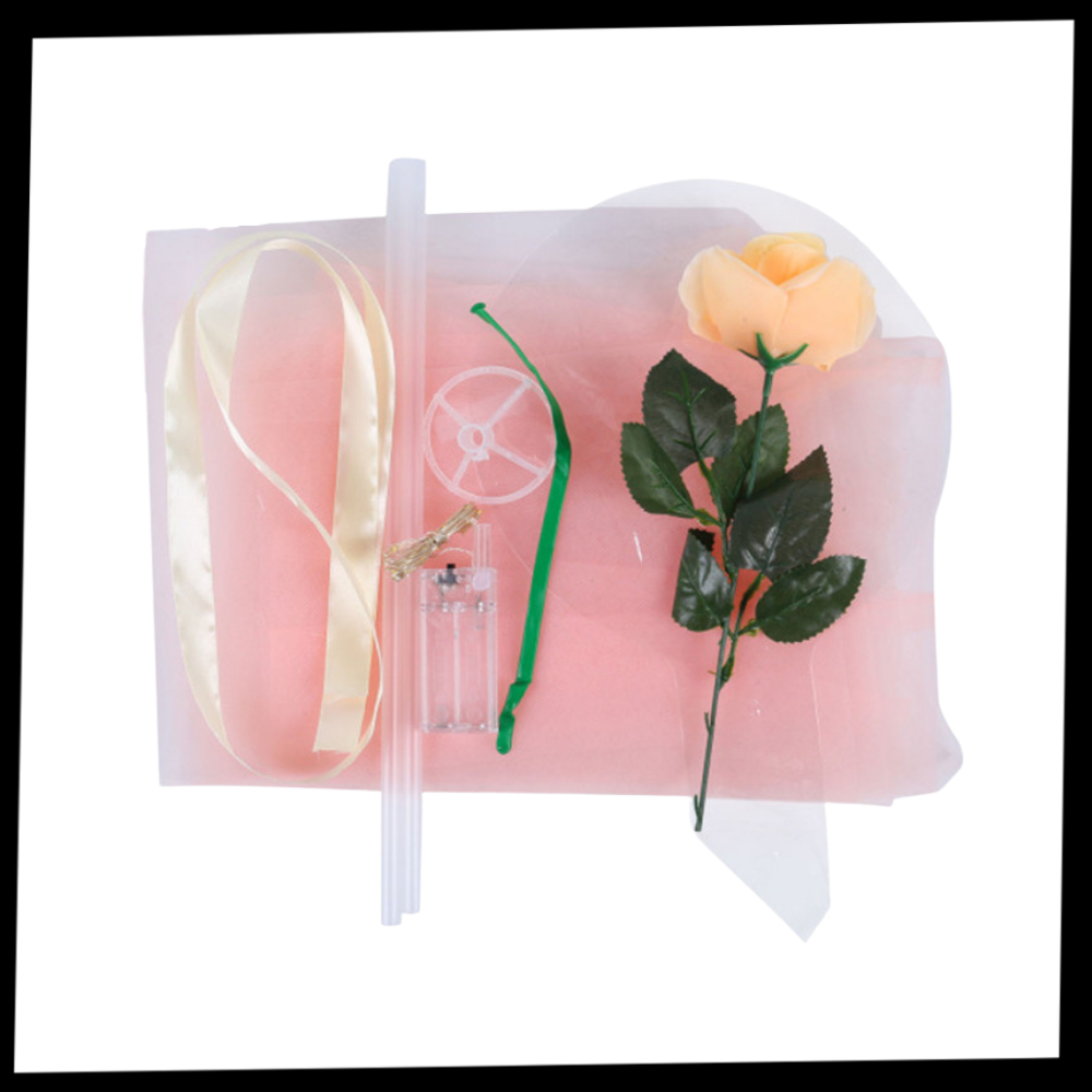 Beautiful Rose LED Balloon - Package -