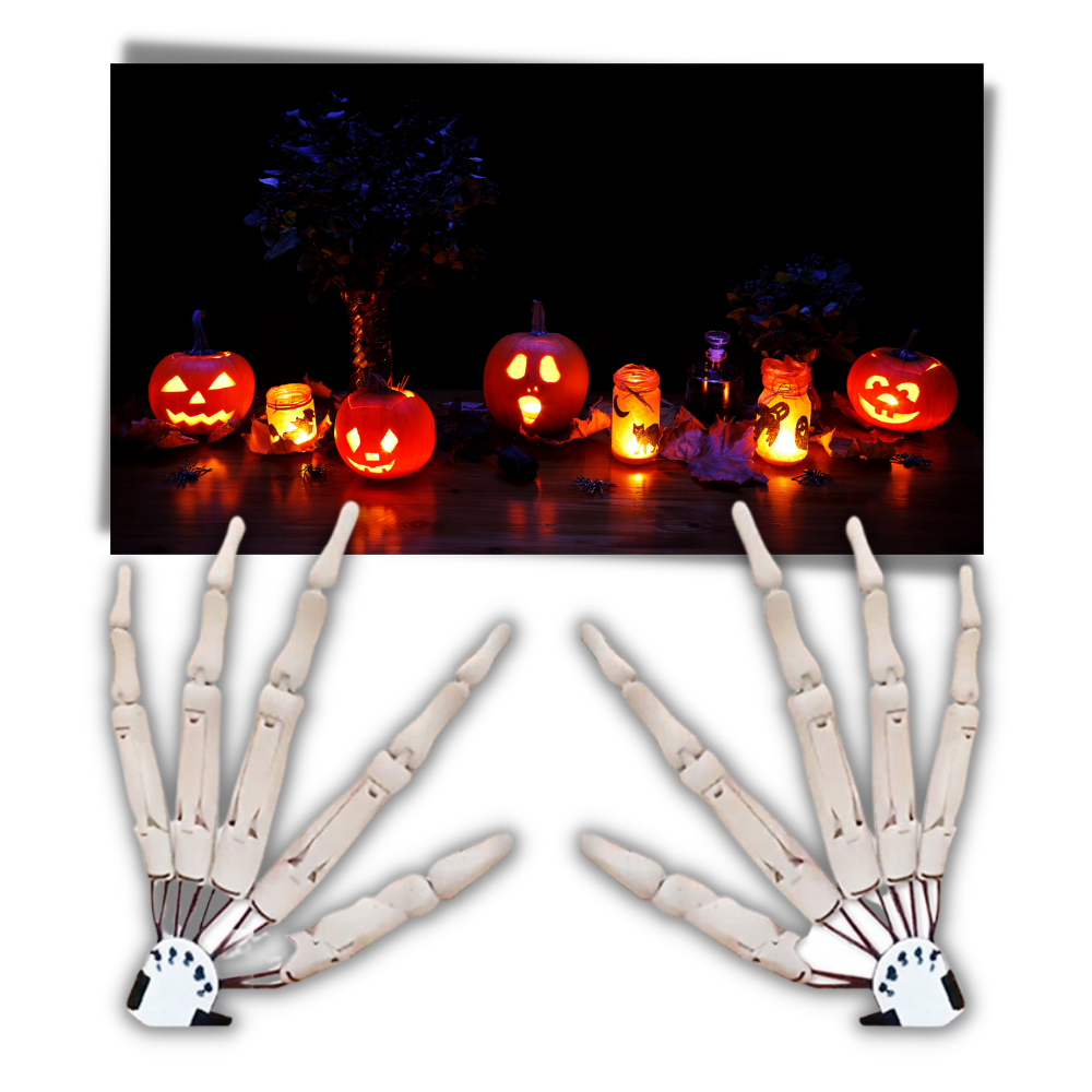 Gants mains de squelette - Large application - Ozerty