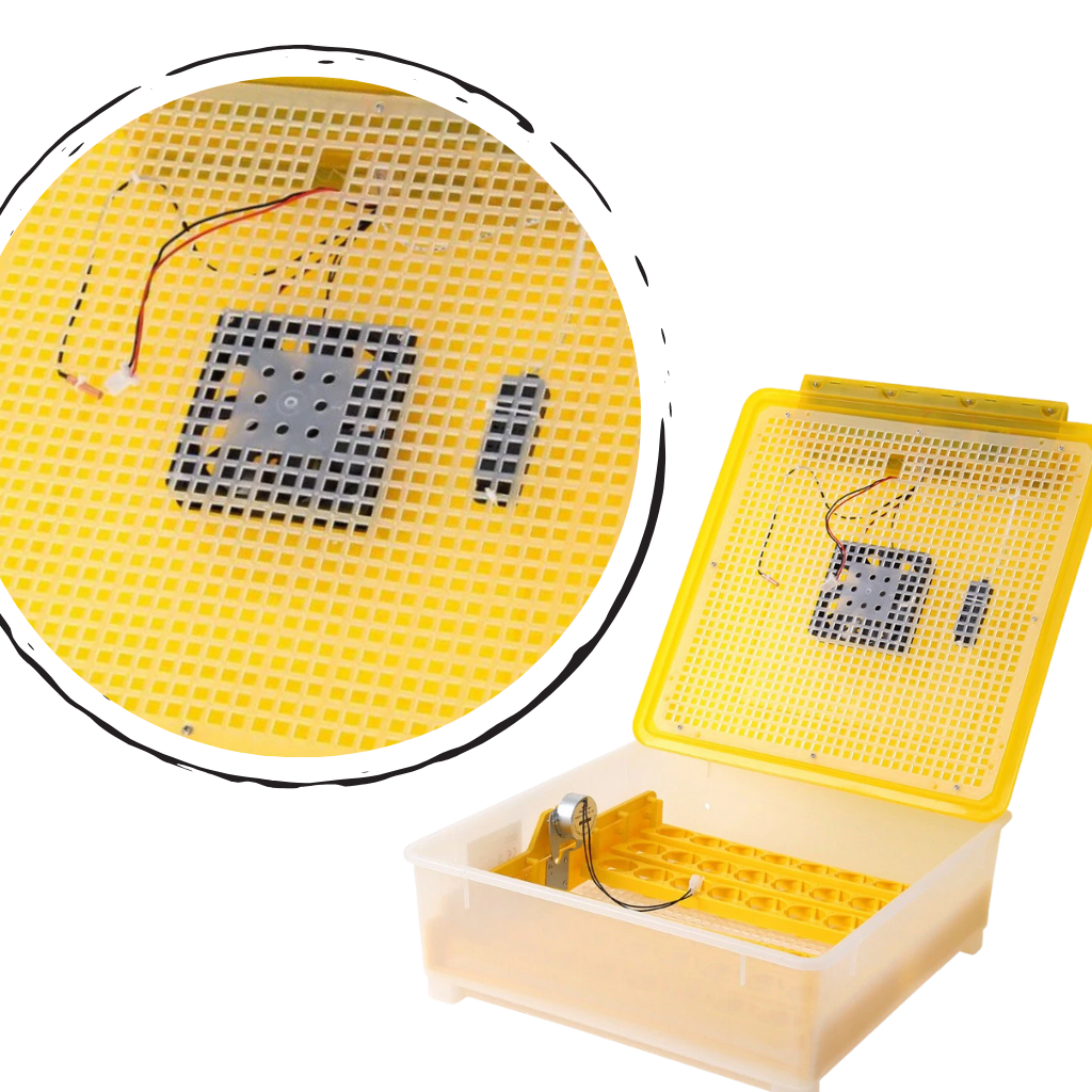 Automatisk äggkläckningsmaskin 48 ägg - Digital temperatur- och fuktkontroll - Ozerty