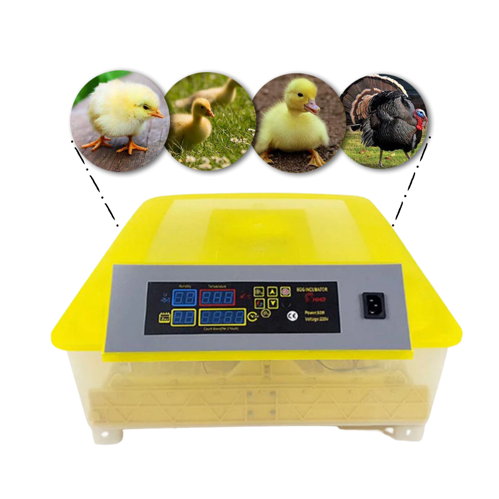 Automatic Egg Hatcher 48 Eggs - Egg Hatcher for Types of Eggs - Ozerty