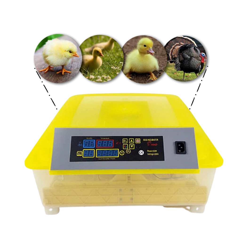 Automatic egg incubator (48 eggs) - For all types of eggs - Ozerty